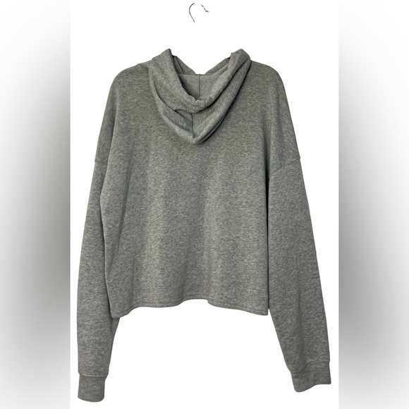 Peanuts Snoopy Charlie Brown Christmas hoodie size 1X - Picture 3 of 7